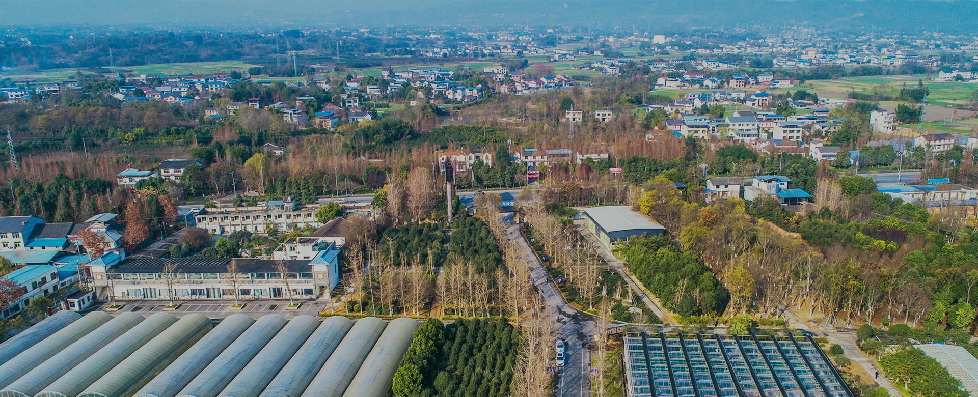 蔬菜品種育苗、示范推廣、基地種植、農(nóng)產(chǎn)品生產(chǎn)、加工 、銷(xiāo)售